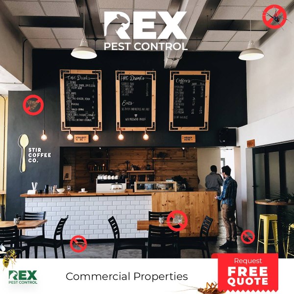 Rex Pest Control Promo