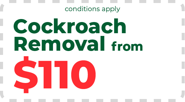 Cockroach Removal Promo