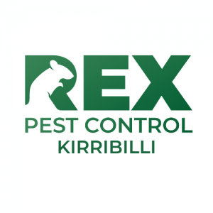 Pest Control Kirribilli