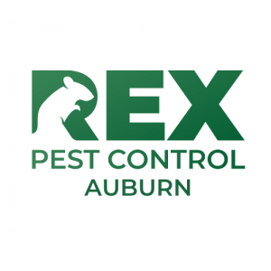 Pest Control Auburn