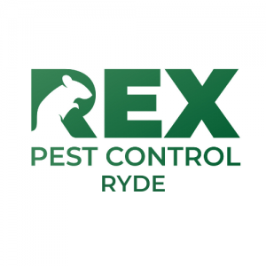 Pest Control In Ryde