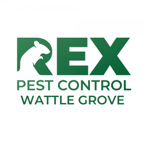 Pest Control In Wattle Grove