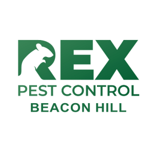 Rex pest control Beacon Hill