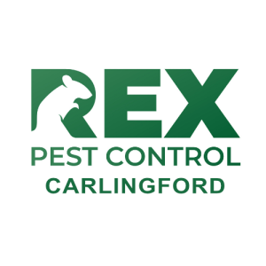 Rex Pest Control Carlingford