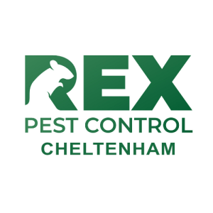 Rex Pest Control Cheltenham