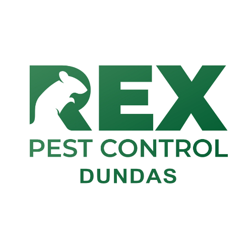Rex Pest Control Dundas Valley