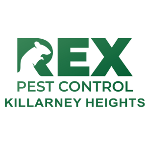 Rex Pest Control Killarney Heights