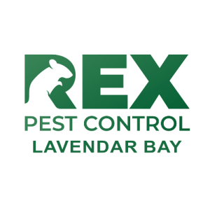 Pest Control Lavendar Bay