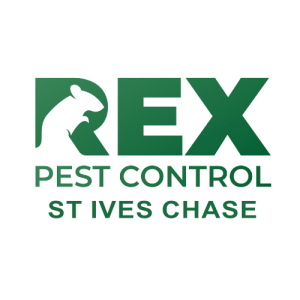Rex Pest Control St Ives